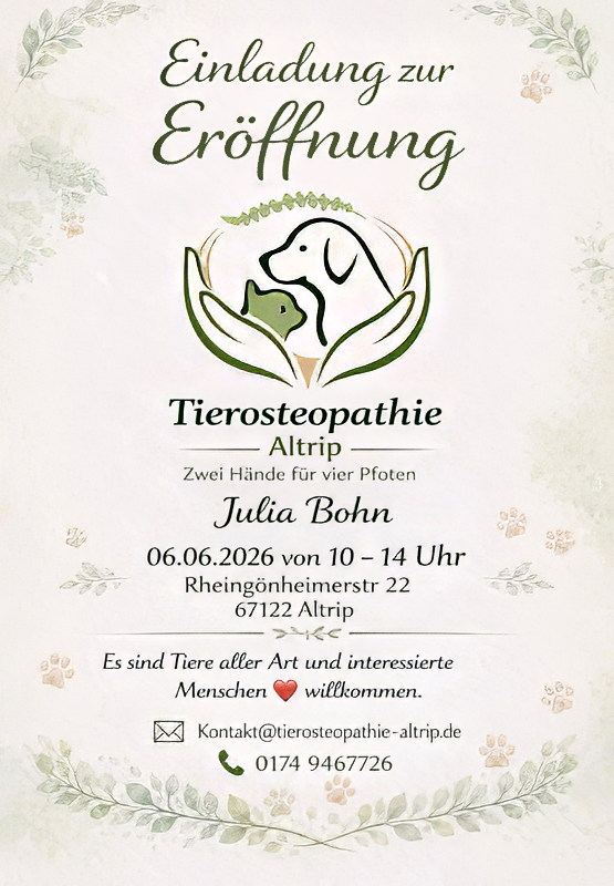 Tierosteopathie in Altrip ⭐ Bolonka Zwetna vom Bibastern Tierosteopathie in Altrip ⭐ Bolonka Zwetna vom Bibastern