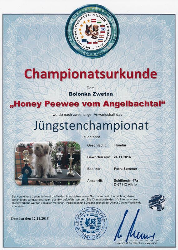 Honey Peewee vom Angelbachtal ⭐ Bolonka Zwetna vom Bibastern ⭐ Jüngstenchampionat 2018